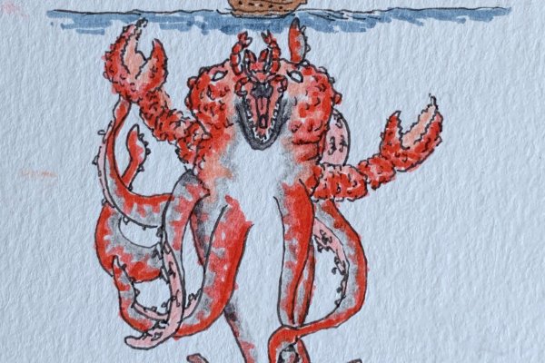 Kraken online