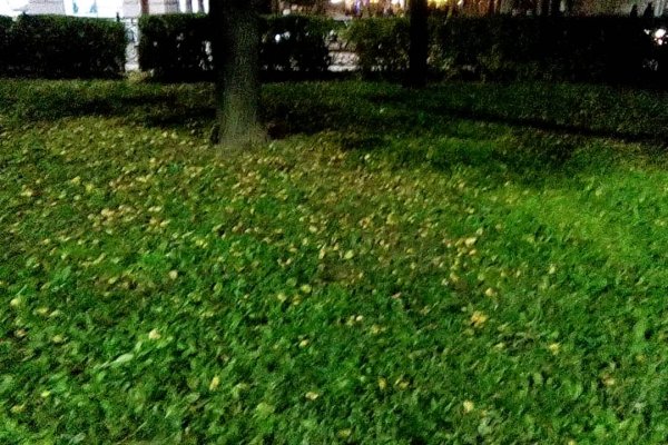 Тор браузер кракен